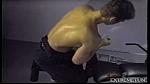 gym 11