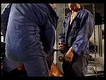 oilchange 22