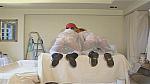 painters186