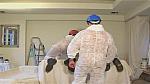 painters188