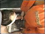 forced entry-50