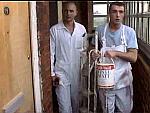 Working Men Painters