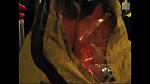 gear - orange 04