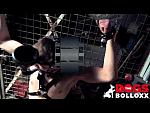 Funnel Gag - The Dogs BolloXX