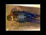 Asbestos Removal Training 10 10