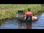 Black and Red Drysuit Hunk in Cow Rescue