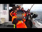 Blue shark fishing Looe