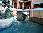 Drysuit Waterslidin'