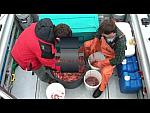 DEADLIEST CATCH ?? THIS IS A MUST SEE !!