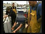 Horny Fishermen in Yellow Waterproofs