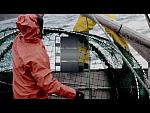 Helly Hansen Workwear