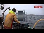Lobster fishing in Lysekil, Sweden with LL91