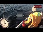 Lobster fishing of the west coast of Sweden