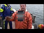 A Day On a PEI Lobster Boat